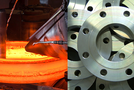 Flange
